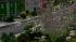 B�ume Set 1 (2)