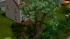 B�ume Set 1 (3)