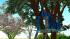 2 Baumh�user und spielende Kinder (3)