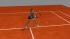 Tennisspieler und Platz (4)