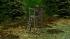 J�ger, Hochst�nde und Raufe (2)