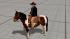 Reiter auf dem Pferd (4)