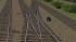 DKW S54 190-1:9 DRG/DB_mechanischer - Antrieb Holz2 ab EEP16.2 (4)