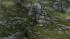 Holzbr�cken als r�umliche Splines (2)