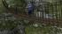 Holzbr�cken als r�umliche Splines (4)