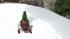 Snowmobile / Motorschlitten (1)