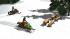 Snowmobile / Motorschlitten (3)