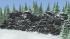 10 winterliche Felsformationen (1)