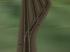 Weichensystem Holzgleis Set 1 "Weichenset mit neuem Spline" (4)