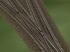 Weichensystem Betongleis Set 3 (Dreiwegweiche) (2)