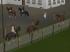 Reitsport Set 2 (4)