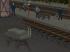 DB-Lagerarbeiter mit Zubeh�r (3)