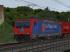Re474 Del Fungo Giera (2)