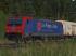 Re474 Del Fungo Giera (3)