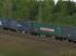 zweiteiliger Containertragwagen Typ Sggmrss 90 AAE (2)