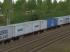 Containertragwagen Typ Sgnss CD (1)