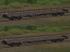 Vierachsige Flachwagen Typ Rs 680 DBAG (2)