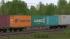 Vierachsiger Containertragwagen Sgns 692 BTSK Set2 (3)