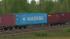 Vierachsiger Containertragwagen Typ Sgnss Ermewa (1)