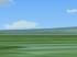 Schwarzwald im Sommer - Anlagen-Horizontvorlage (3)