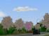 B�ume und Str�ucher (1)