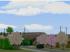 B�ume und Str�ucher (2)