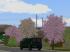 B�ume und Str�ucher (3)