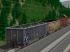 Eaos-G�terwagen der SBB (2)