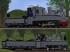 Brigadelok und Tender (600 mm) 8 Modelle (2)