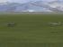 Cressina - Sportflugzeug  Bild 2