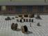 Lagerg�ter Set 1 (3)