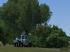 Laubb�ume und -b�sche Set 2 (3)