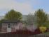 Fr�hlingsvegetation (4)