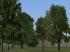 Vegetations-Set Laubb�ume (3)