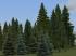 Vegetations-Set Nadelb�ume und tropische Pflanzen (1)