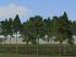 Vegetations-Set Nadelb�ume und tropische Pflanzen (2)