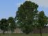 Vegetations-Sparset (3)