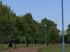 Vegetations-Sparset (4)