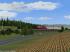 Anlage Friedrichsh�he (4)