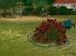 diverse Kletterger�ste (4)