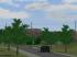 Ahornb�ume Set 1 (2)