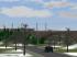 Ahornb�ume Set 1 (4)
