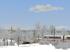 Winterbaumset (1)