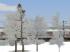 Winterbuschset (3)