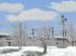 Winterbuschset (4)