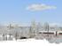 Wintervegetation Sparset (2)