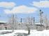 Wintervegetation Sparset (4)