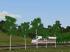 Gemischte Vegetation (1)