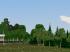Gemischte Vegetation (2)