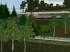 Gemischte Vegetation (4)